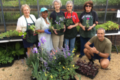 Paca-Garden-Plant-Sale-1-COVER-PHOTO