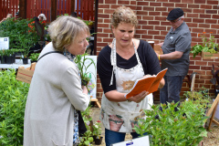 Paca-Garden-Plant-Sale-5