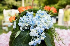 DP_W4185