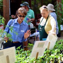 Paca Garden Plant Sale