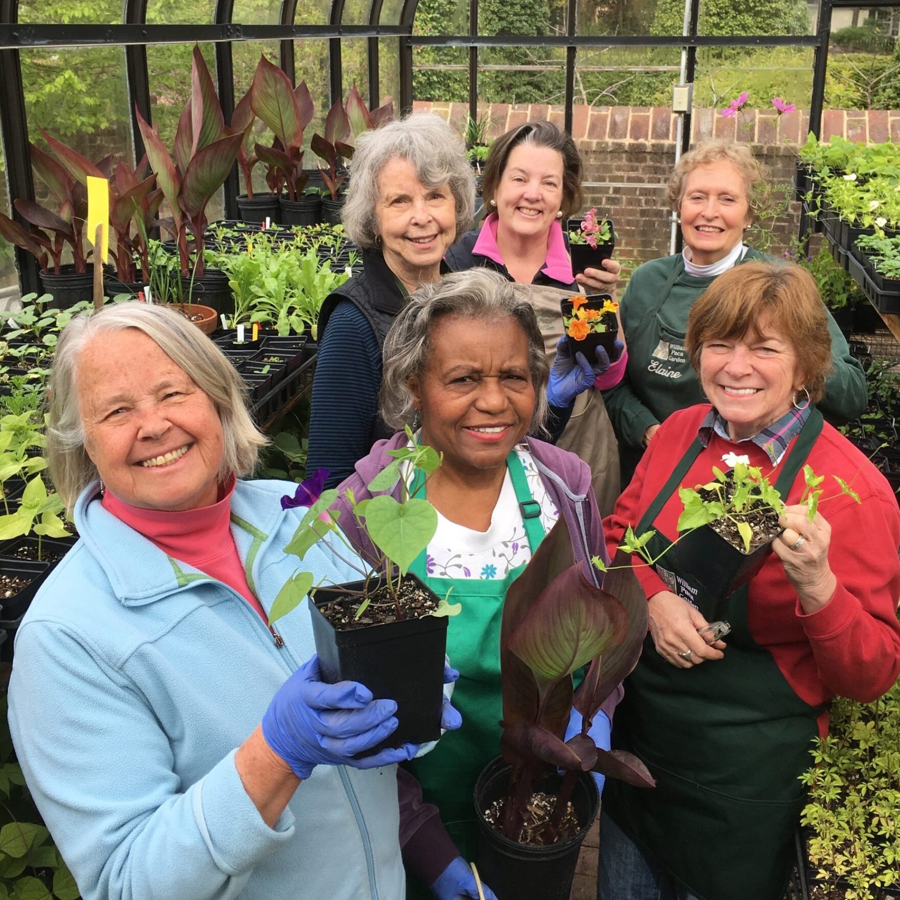 A group of people hold up plants in a greenhouse