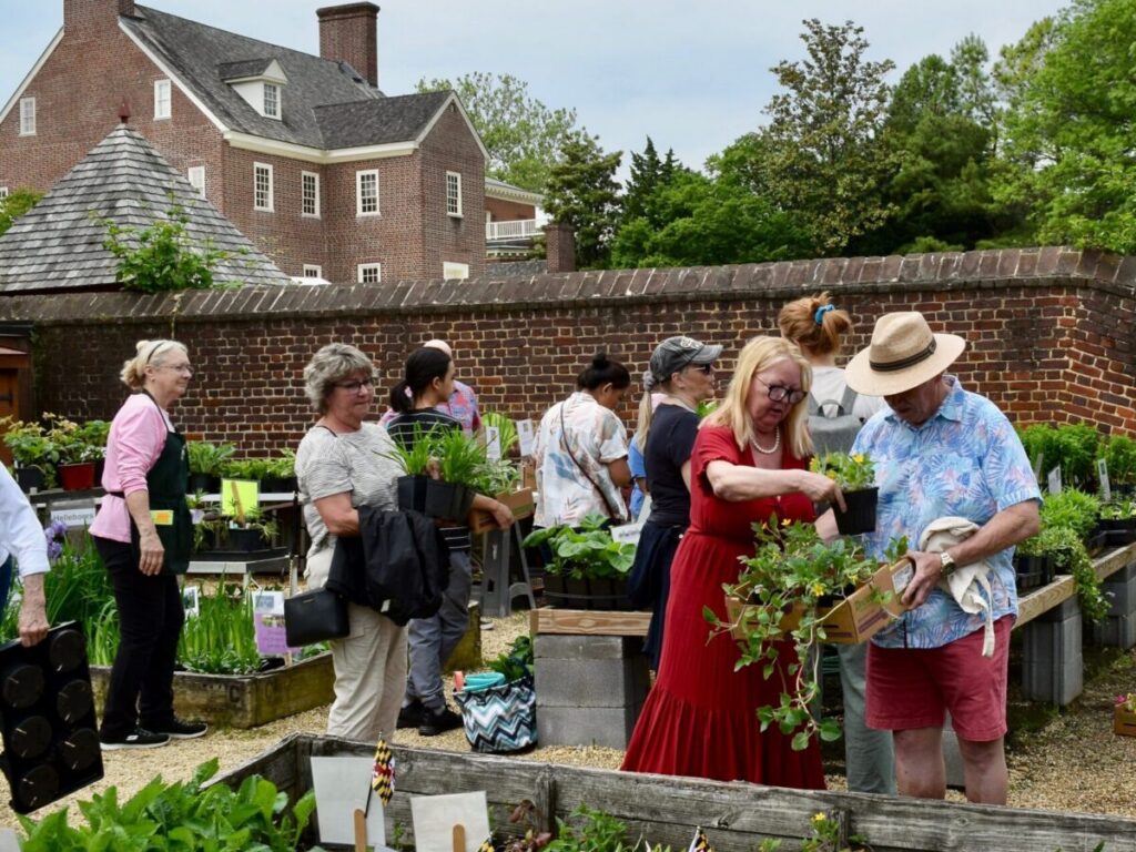 Visitors shopping and exploring during the annual William Paca Garden Plant Sale in Annapolis, a spring community event supporting Historic Annapolis preservation efforts.