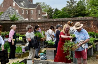 Visitors shopping and exploring during the annual William Paca Garden Plant Sale in Annapolis, a spring community event supporting Historic Annapolis preservation efforts.