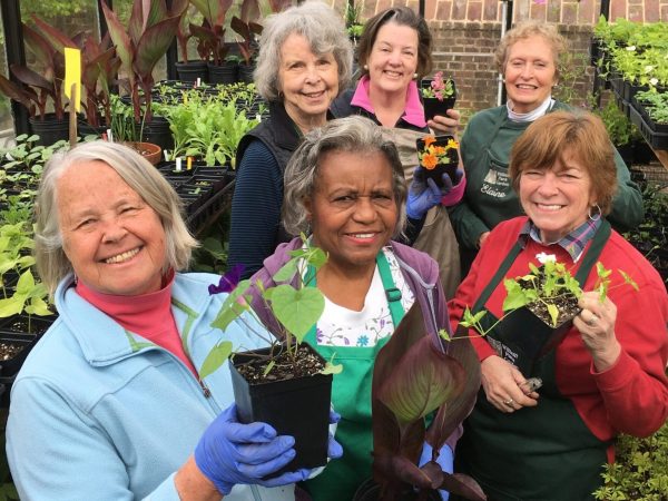 Gardeners browse plants grown by Historic Annapolis volunteers during the William Paca Garden Plant Sale.