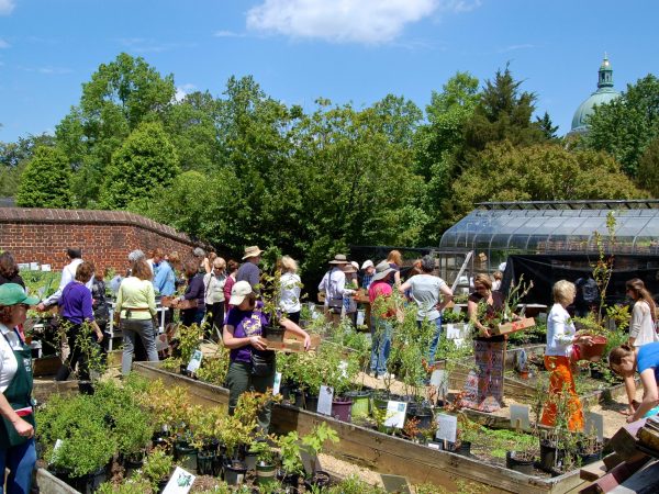 Paca Garden Plant Sale 9