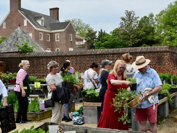 Visitors shopping and exploring during the annual William Paca Garden Plant Sale in Annapolis, a spring community event supporting Historic Annapolis preservation efforts.