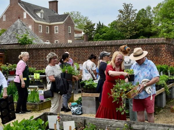 Visitors shopping and exploring during the annual William Paca Garden Plant Sale in Annapolis, a spring community event supporting Historic Annapolis preservation efforts.
