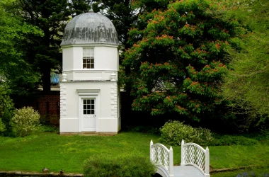 Washington's Buckeye, Photo by Ken Tom