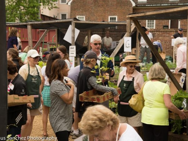 plant_sale_201571